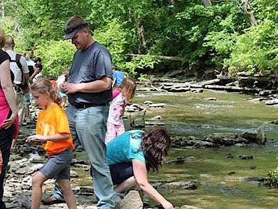 A group of people enjoying the attractions of Oxford while looking for fossils in a stream.