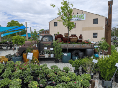 A truck full of potted plants in front of a building.