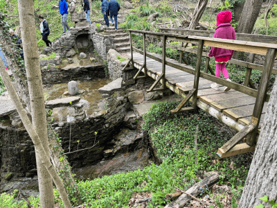 Wildflower walk over the bridge at the Silvoor Biological Sanctuary trail